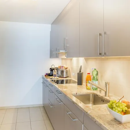 アパート Les Residences Du National De モントルー